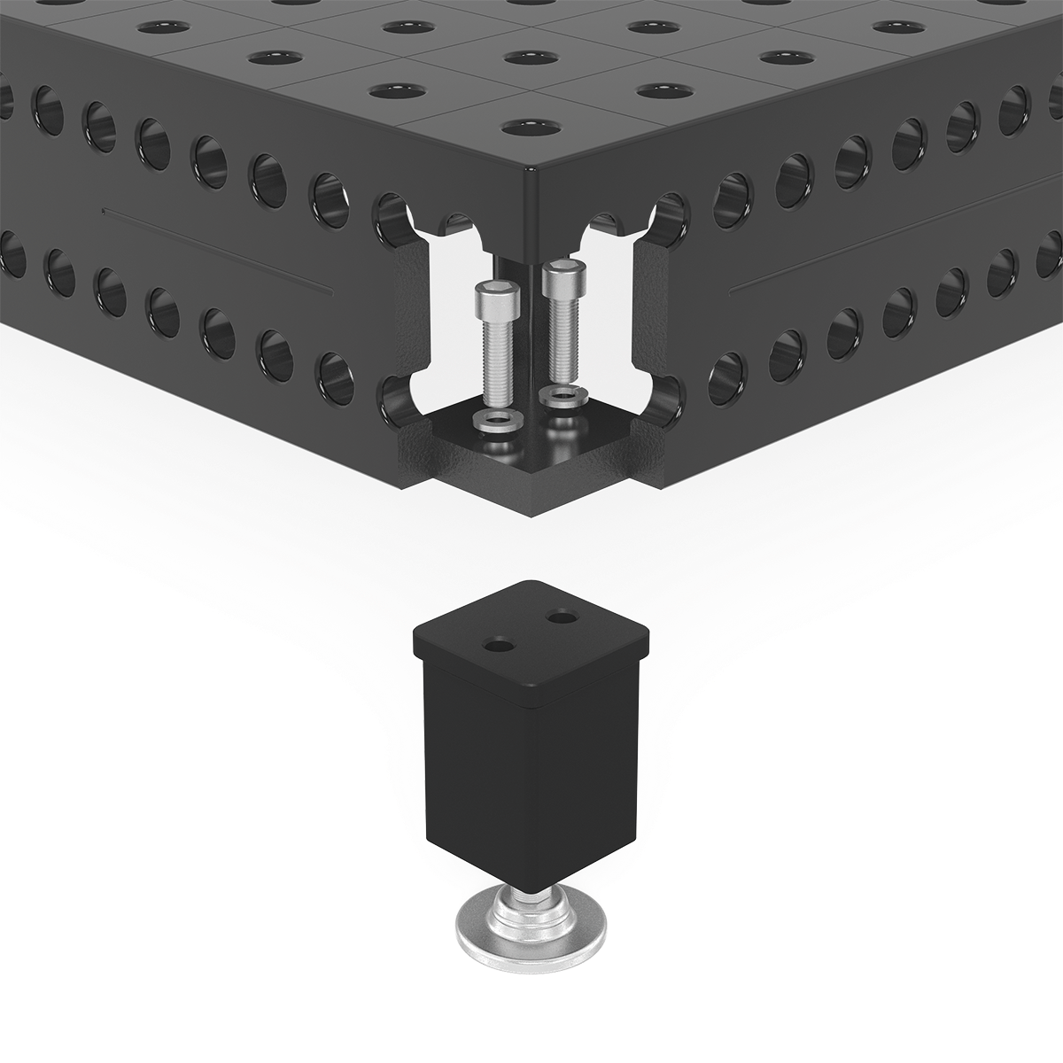 Siegmund Platform System