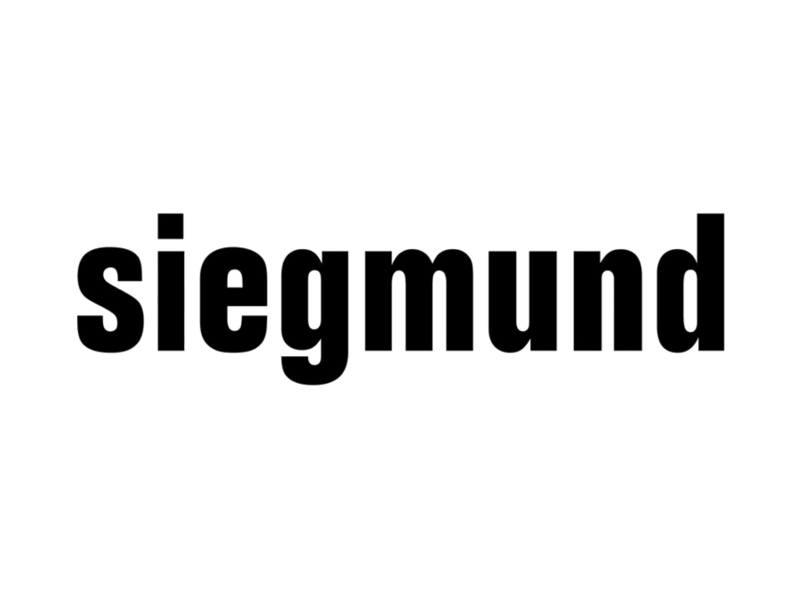 Siegmund Logo